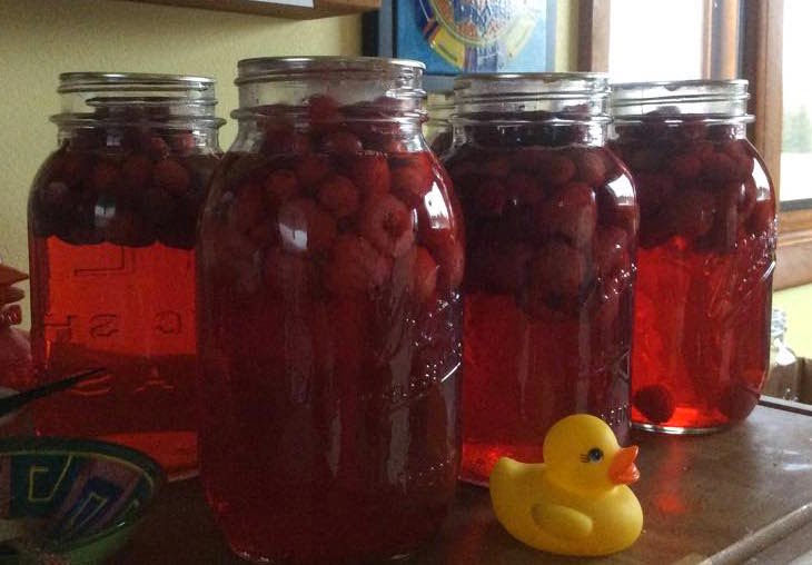CranRaspberry Juice The easy way! Canning Homemade!
