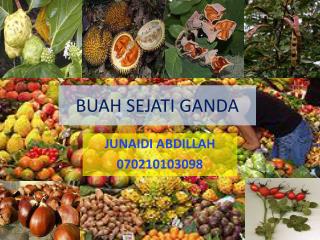 Makalah Morfologi Buah Devinisi Buah Tunggal Ganda Dan Majemuk