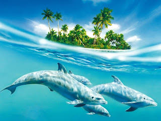 Aqua Dolphin Artwork