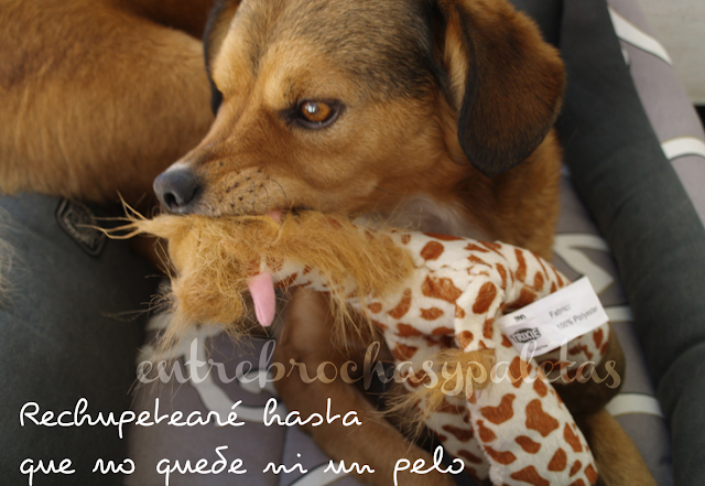 mascoticlub_noviembre