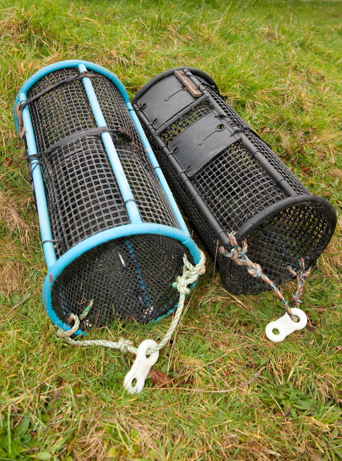 Through the Gaps! Newlyn Fishing News £1000 reward ! Keep an eye