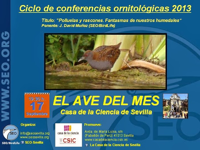 Conferencia ornitológica organizada por el Grupo Local SEO-Sevilla de SEO/BirdLife en la Casa de la Ciencia de Sevilla. "Polluelas y rascones. Fantasmas de nuestros humedales" por J. David Muñoz