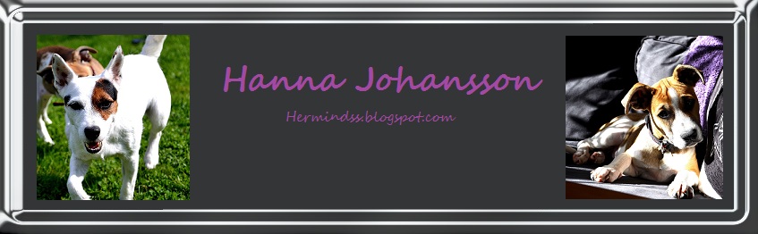 Hanna Johansson