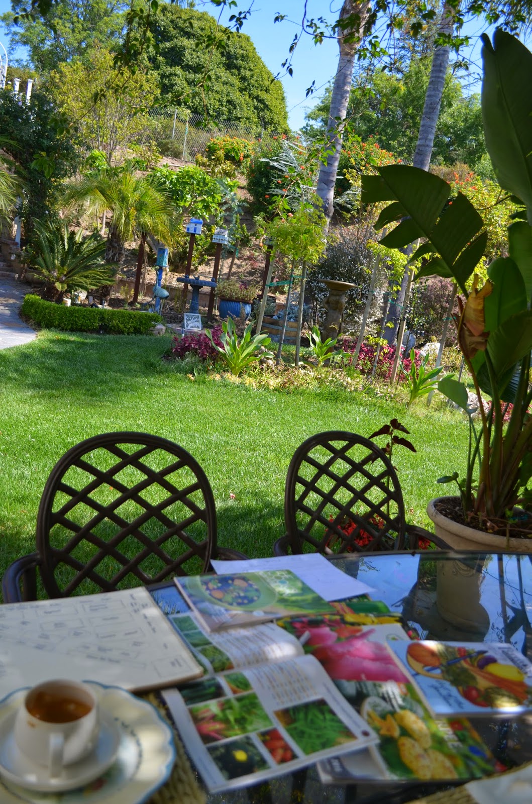 Entertaining From an Ethnic Indian Kitchen: Designing the kitchen garden