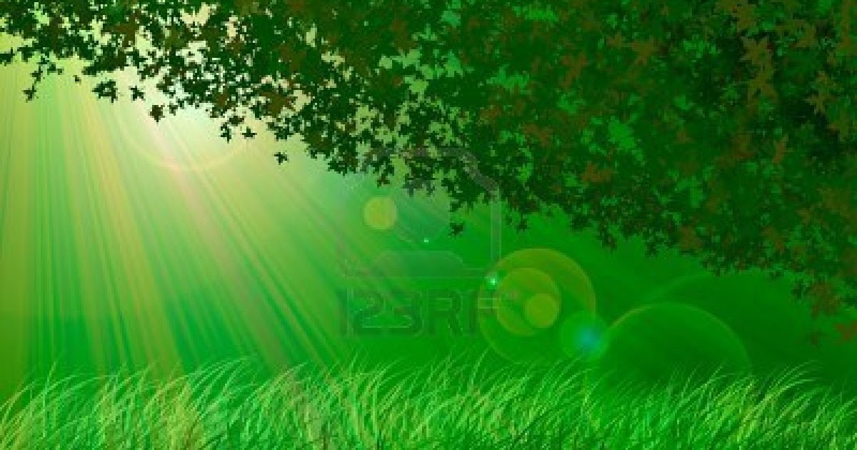forest-background