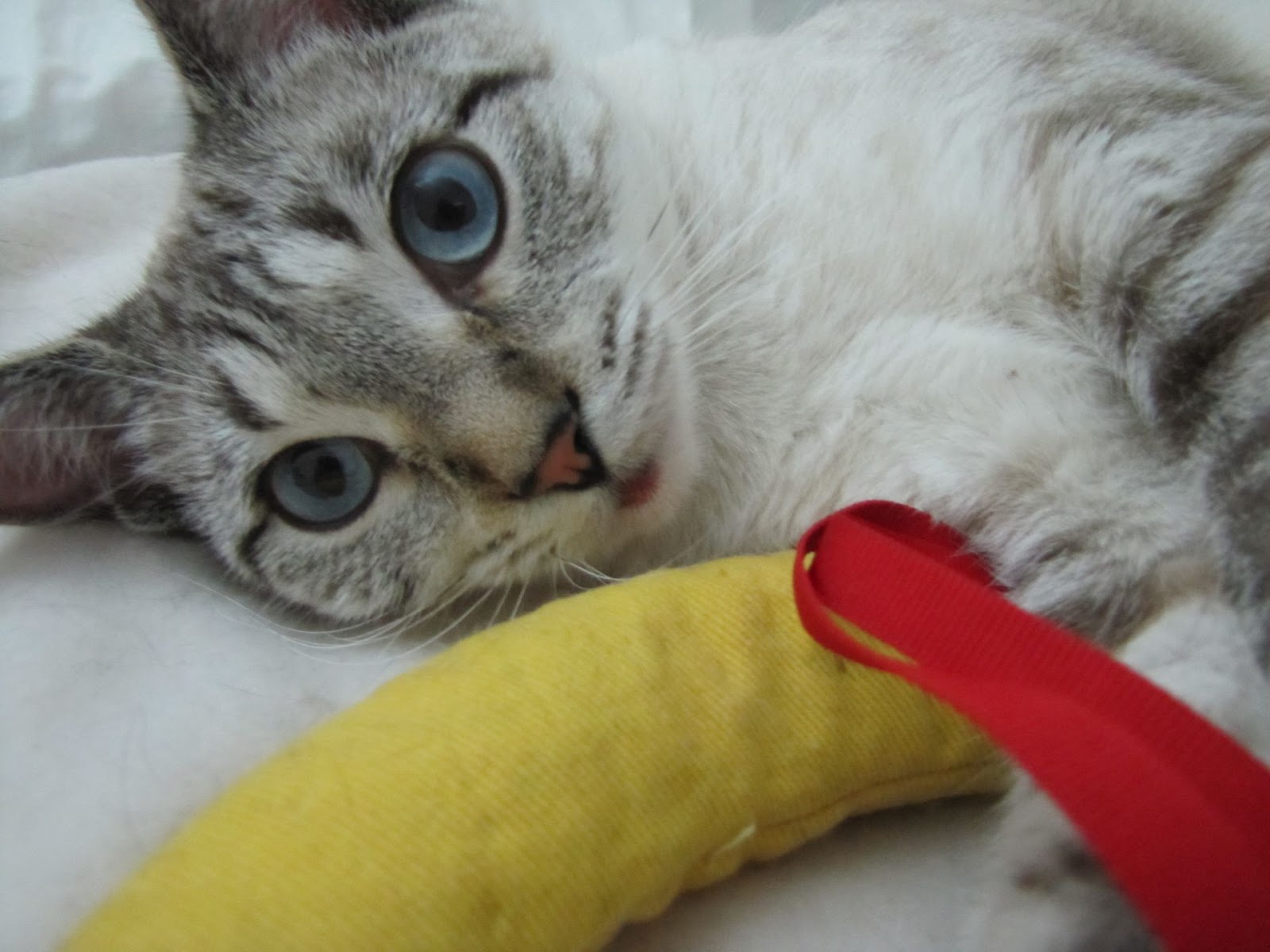 Funny Nannas