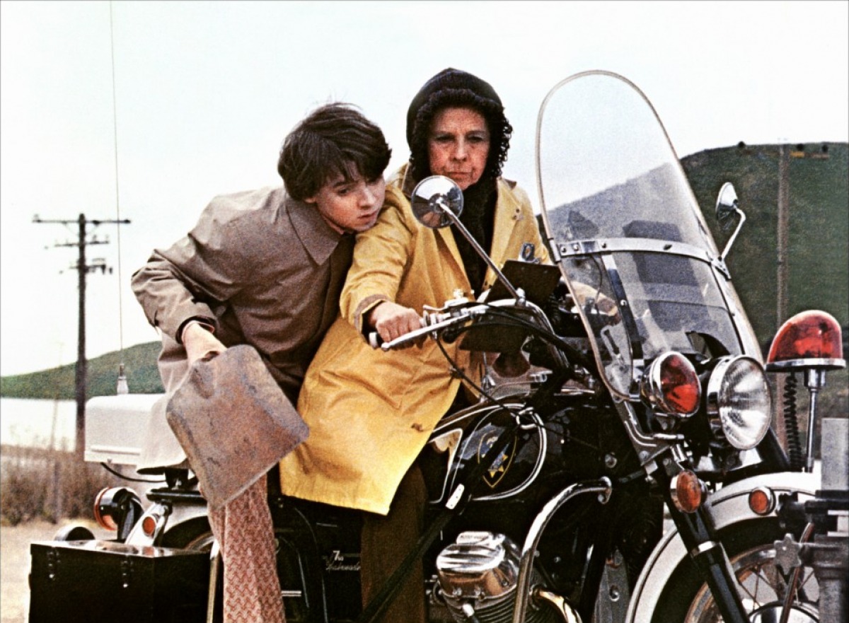 harold et maude rencontre