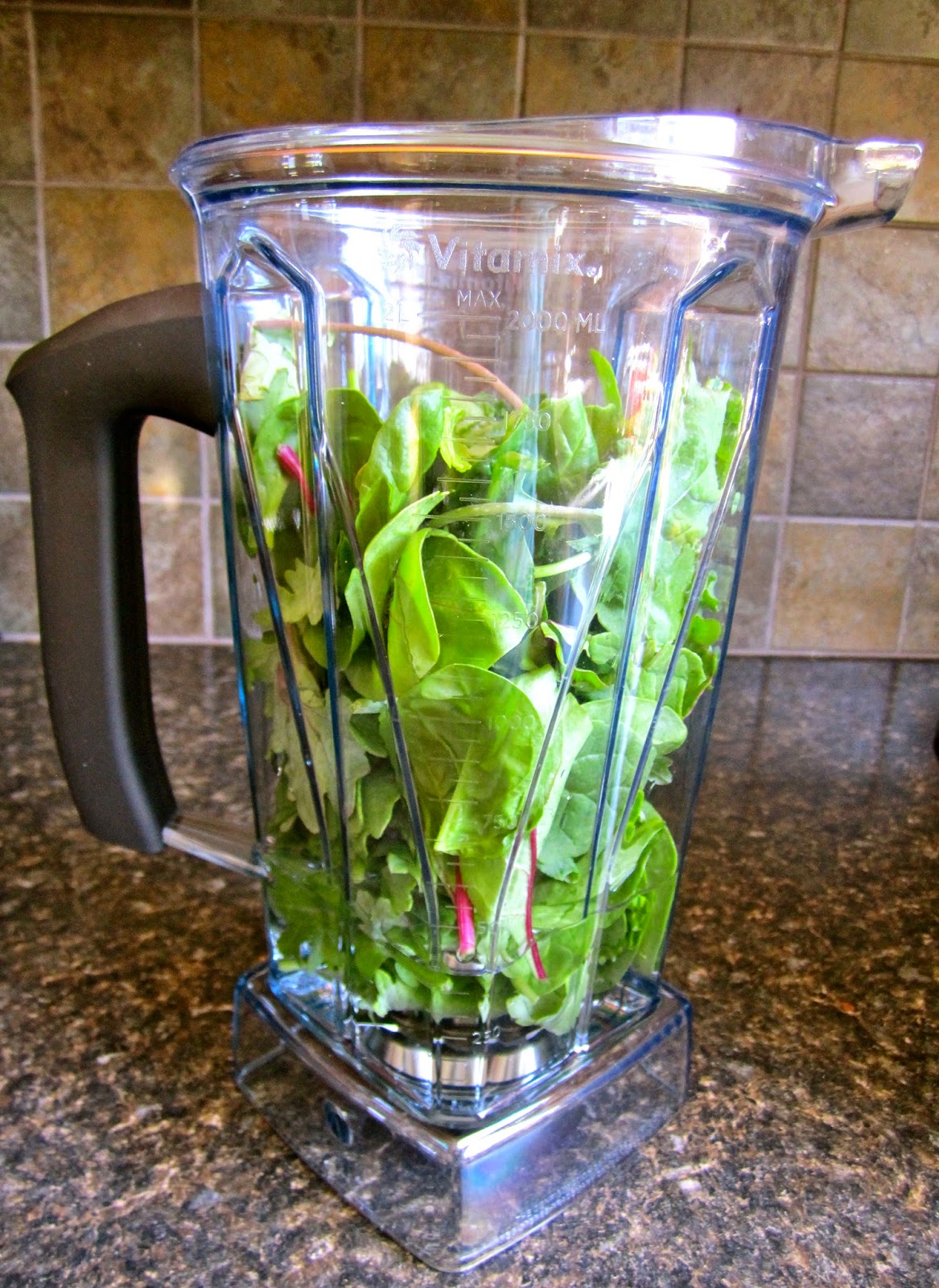 Beauty, Bites & Adorations Vitamix Blender Recipe for the Ultimate