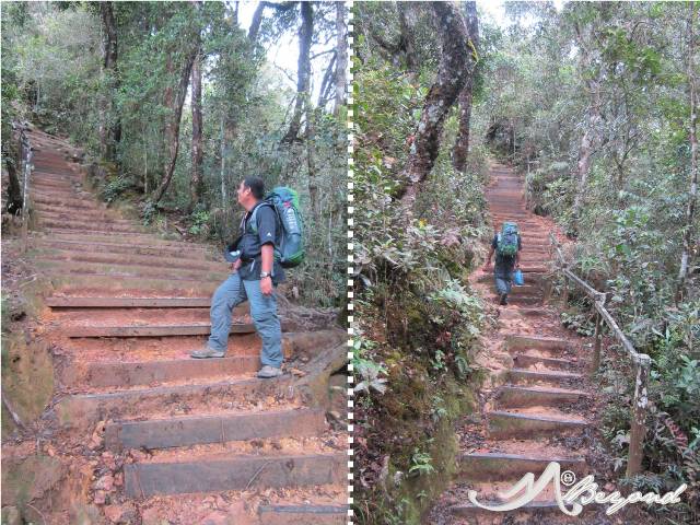 Mt Kinabalu trail, mt kinabalu difficulty, trail of kota kinabalu, trail of mt kinabalu, mt kinabalu rocks