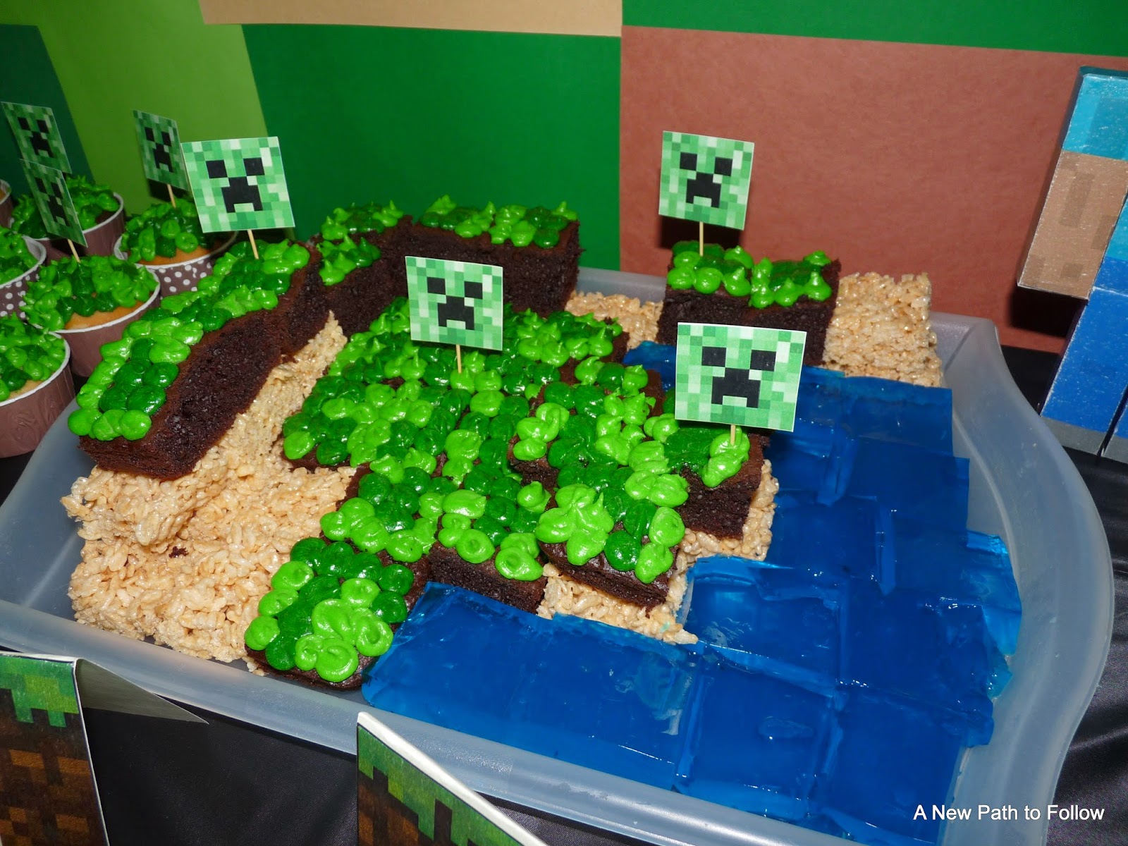 A New Path to Follow How to throw a Minecraft Party