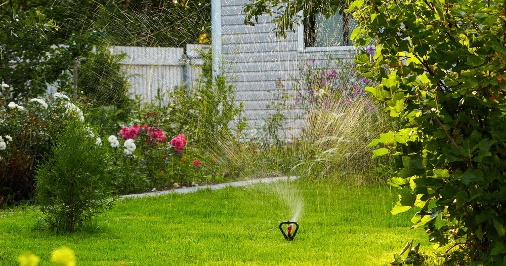 How to Transform a neglected Garden ~ UK Property Headlines How to Transform a neglected Garden ~ UK Property Headlines