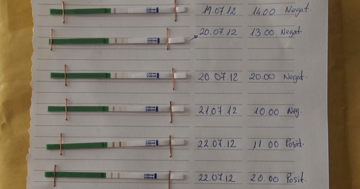 CON LA TETA HEMOS TOPADO: Test de ovulación y sorpresa CON LA TETA HEMOS TOPADO: Test de ovulación y sorpresa