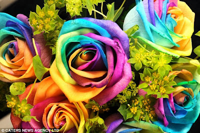 article 1282879 09D4757A000005DC 161 634x421 ’قوس قزح‘ من أجمل الزهور التي قد تراها حقن الزهور بصبغات مختلفة