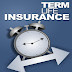 Typical Term Life Insurance Cost 