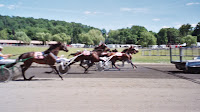 Fair Racing, Catch the Excitement