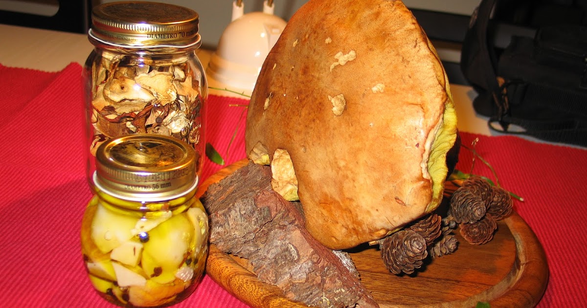 MIS RECETAS Encurtidos de setas/hongos Porcini en aceite de oliva