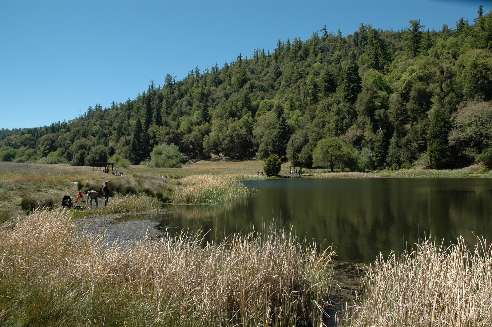 Enjoy San Diego Palomar Mountain