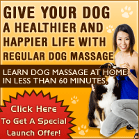 All About Dog Massage...