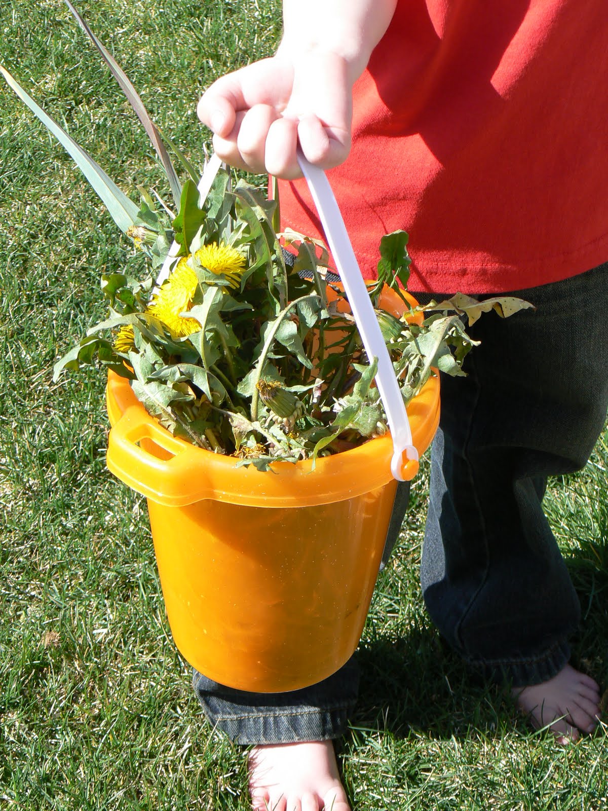 The Creative Homemaker WEED Buckets