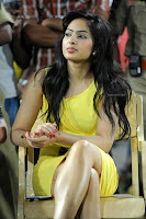 Nikeesha, Patel, at, Celebrity, Cricket, League