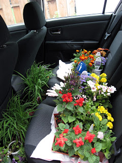 Cedar Garden Boxes, Part I