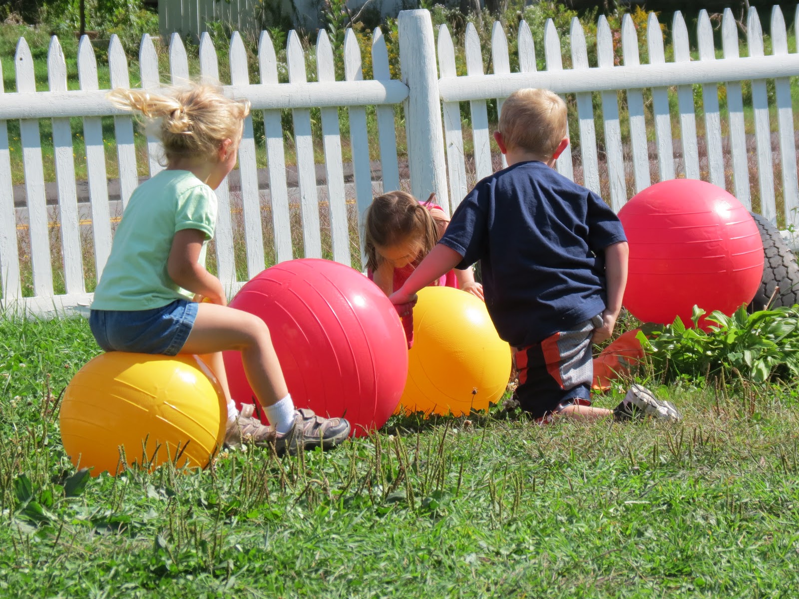 Growing Inch By Inch 521 continued... Our NEW Hopper Balls