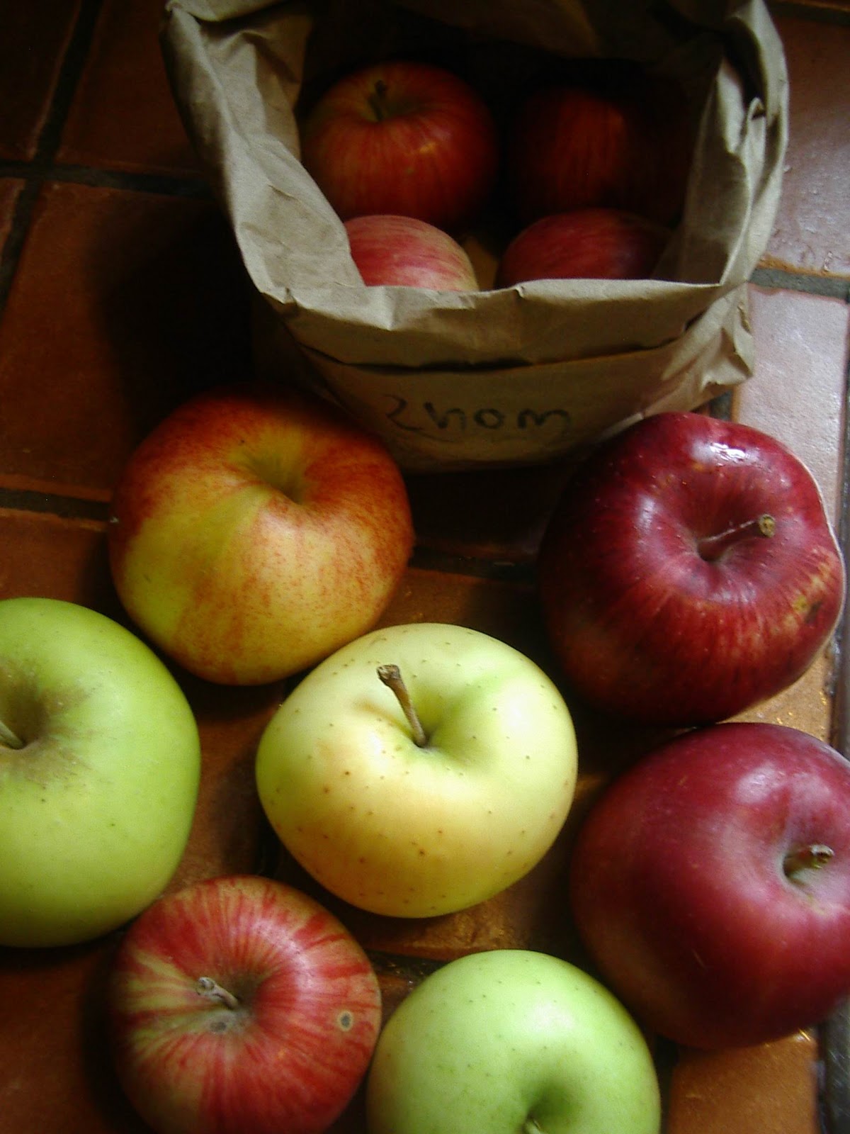 Little City Farm Apple Tasting and Fate of the Heirloom Apples