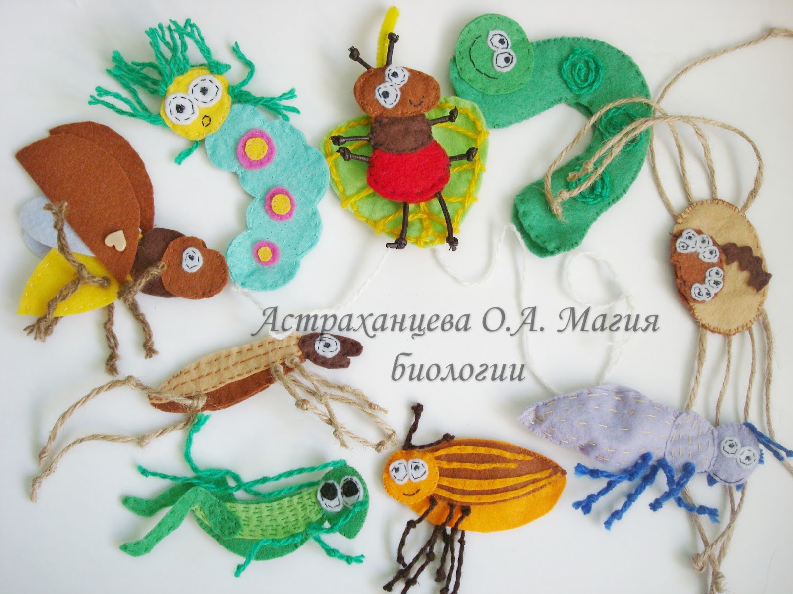 Сорт клубники чудо мира описание сорта фото Сорт клубники чудо мира описание сорта фото