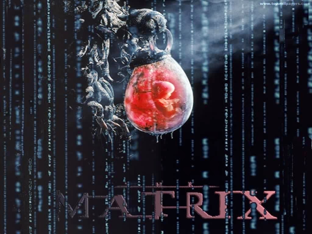 Nature Of Reality In The Matrix