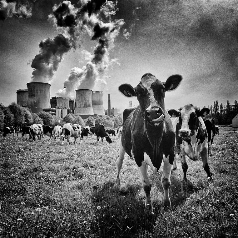 Compact Camera, Best Photo of the Day in Emphoka by Andrea Schuh, Canon PowerShot S100, https://flic.kr/p/nEC8Aj Compact Camera, Best Photo of the Day in Emphoka by Andrea Schuh, Canon PowerShot S100, https://flic.kr/p/nEC8Aj