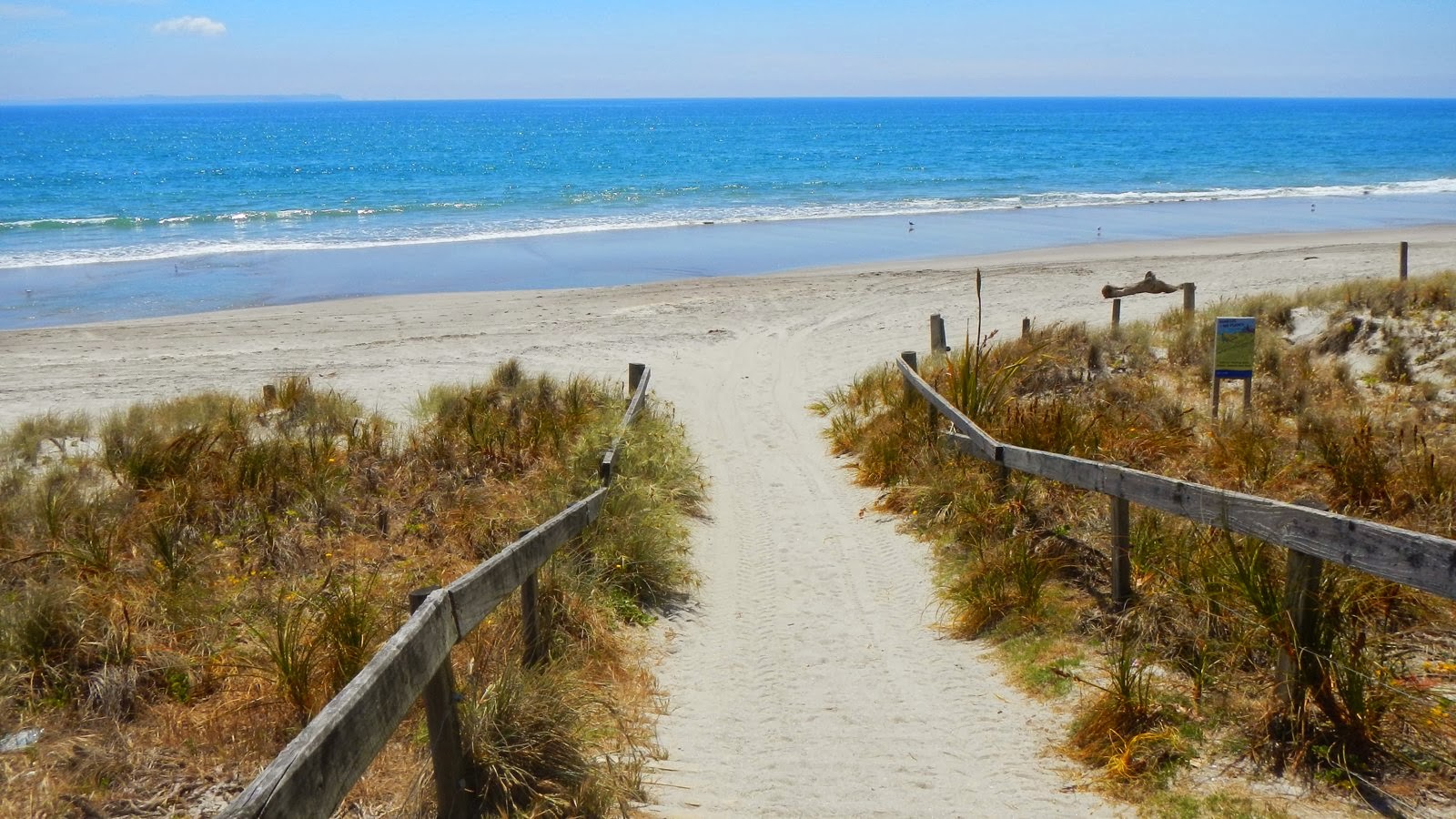 Licorice Allsorts Next Stop Papamoa Beach