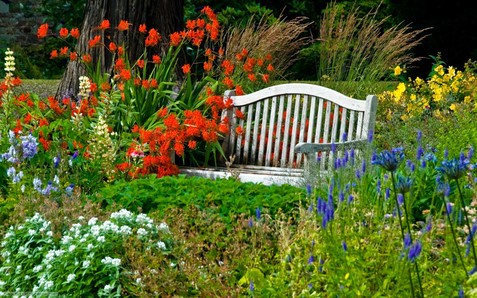3D Flower Garden Wallpaper|http://refreshrose.blogspot.com/