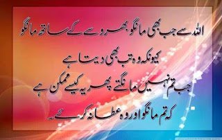 Aqwal-e-Zareen, Aaj Ki Achi Baat, Achi Baat, Golden Islamic Words, Golden Quotes, Great Quotes, Famous Quotation,