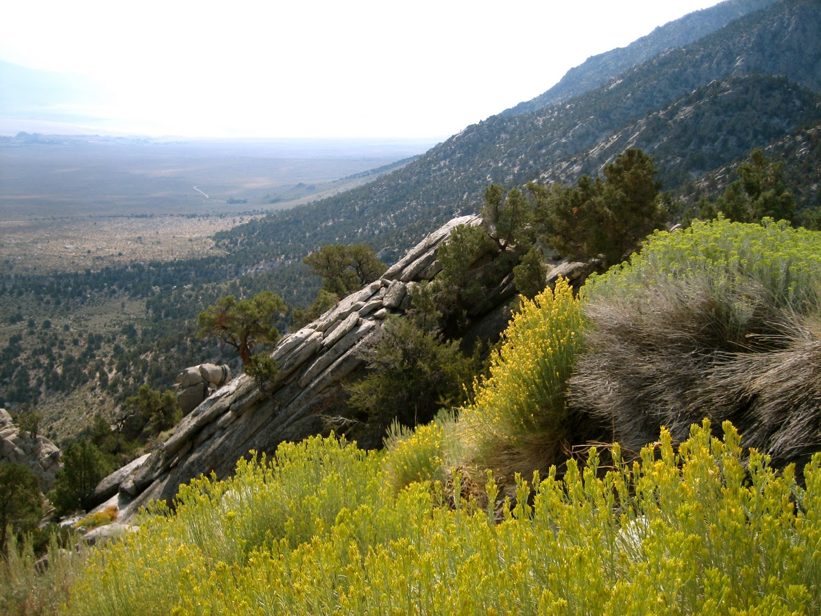 megan.christine mt.whitney