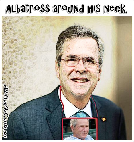 jeb-albatross-w.jpg