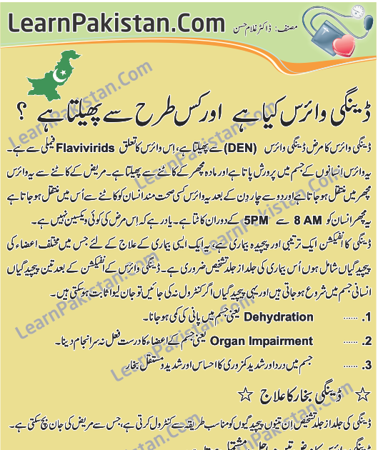 essay in urdu for students essay in urdu for students