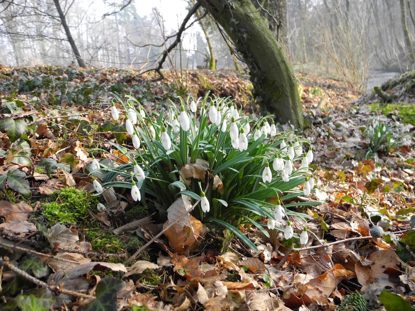 Refranes sobre Todo Refranes sobre el mes de Marzo