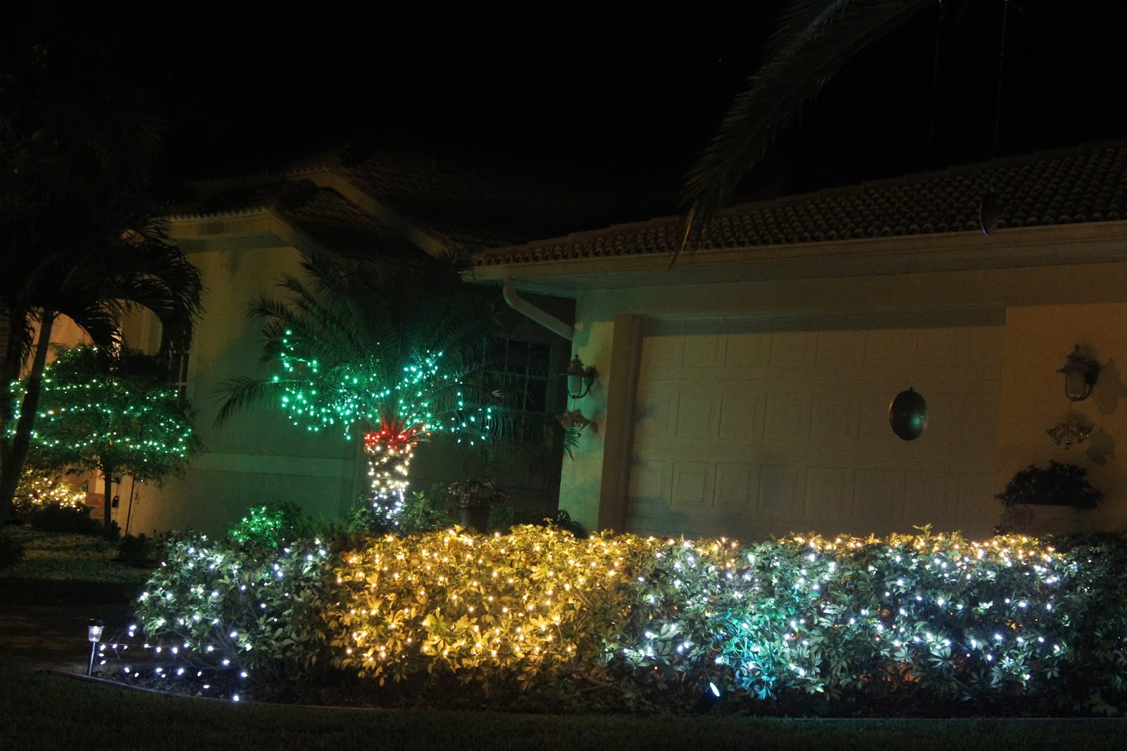 Punta Gorda Florida Daily Photo Christmas Lights in Punta Gorda