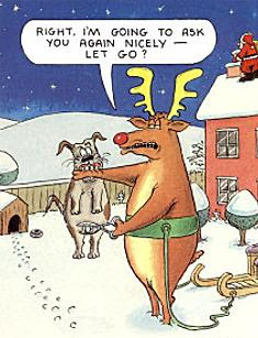 Funny Christmas pictures