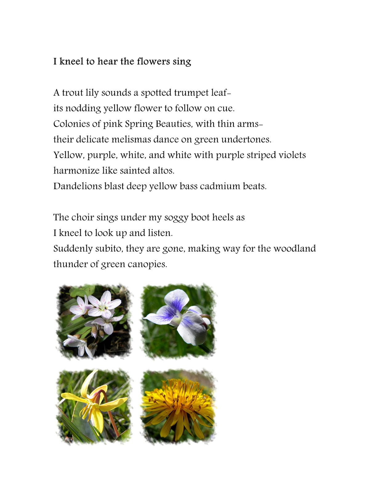 Poem of spring flowers: I