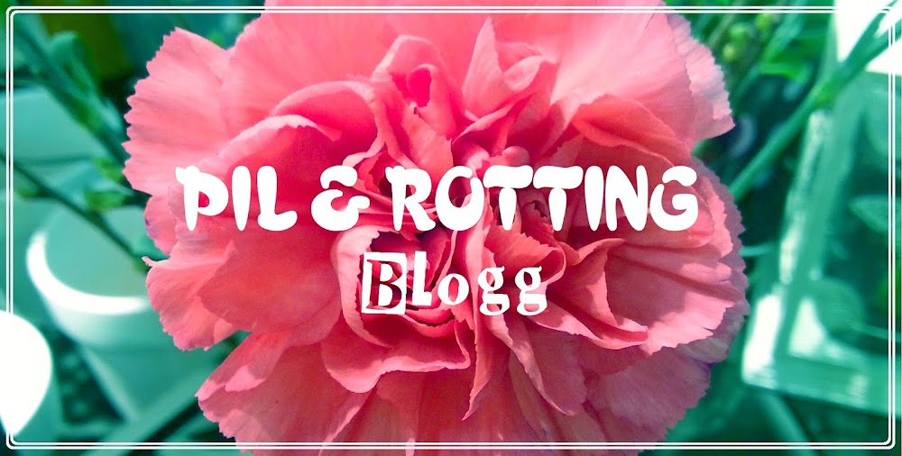 Pil och Rottings Blogg
