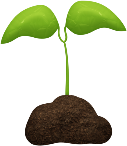 GIFS DE PLANTAS gifs de plantas: