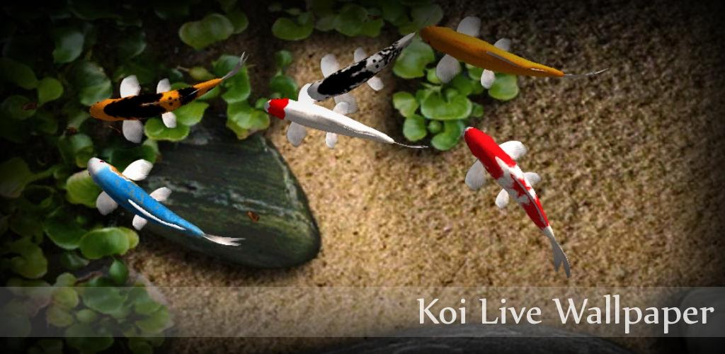 3D Koi Pond Live Wallpaper Android