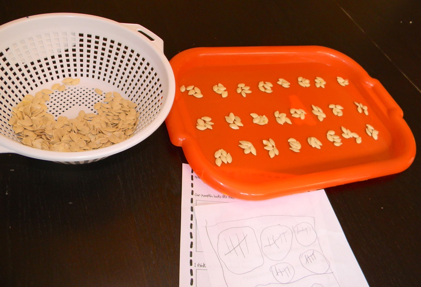worksheet Parts Of A Pumpkin Worksheet finding the teachable moments pumpkin unit after we gutted our and cleaned dried seeds took on task of counting them finished up i stumbled onto the