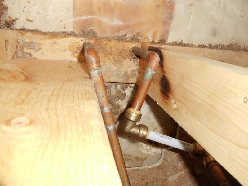 Shark Bites Plumbing