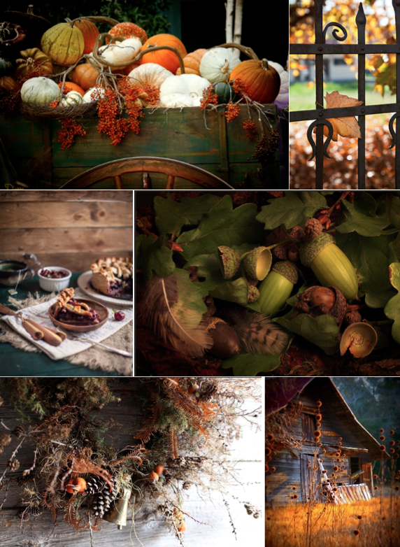 Images d'automne Wistfully Country via Nat et nature