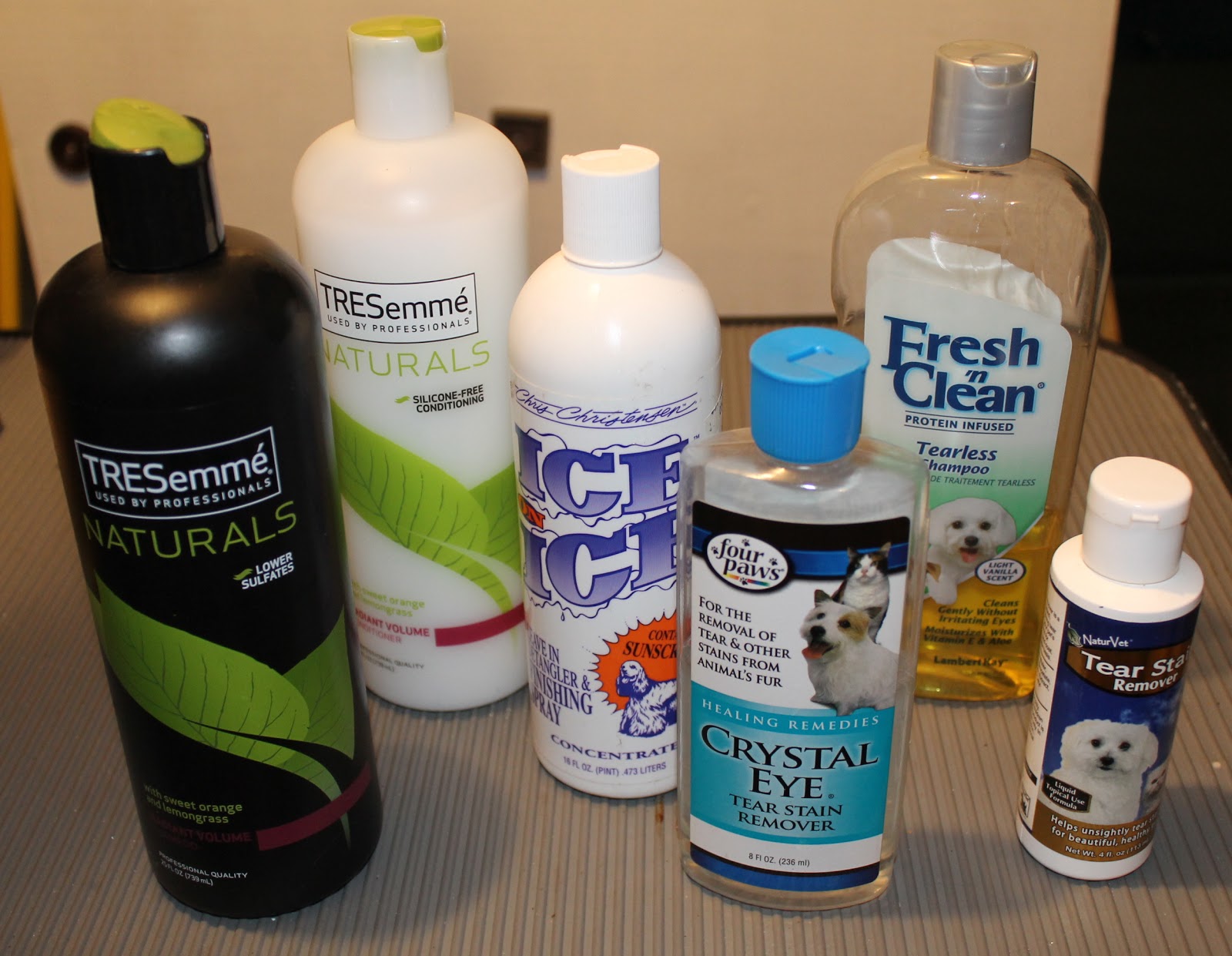 Havanese Haven Tools of the Trade