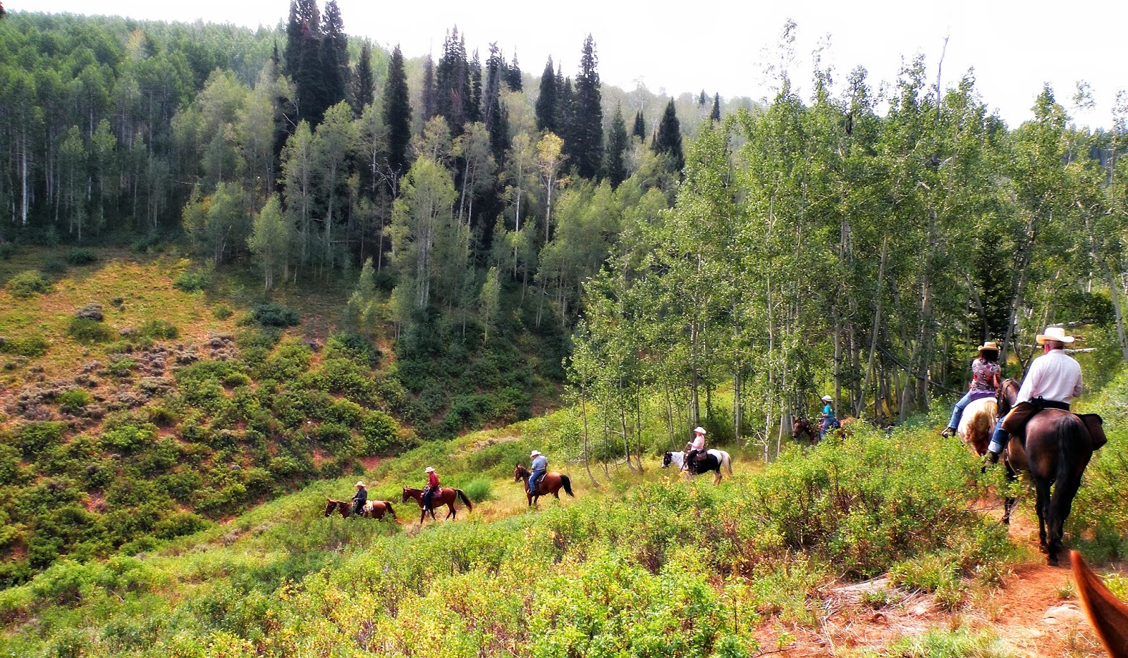 Dream Packer Trail Adventures Monte Cristo, Utah, Bluff Springs
