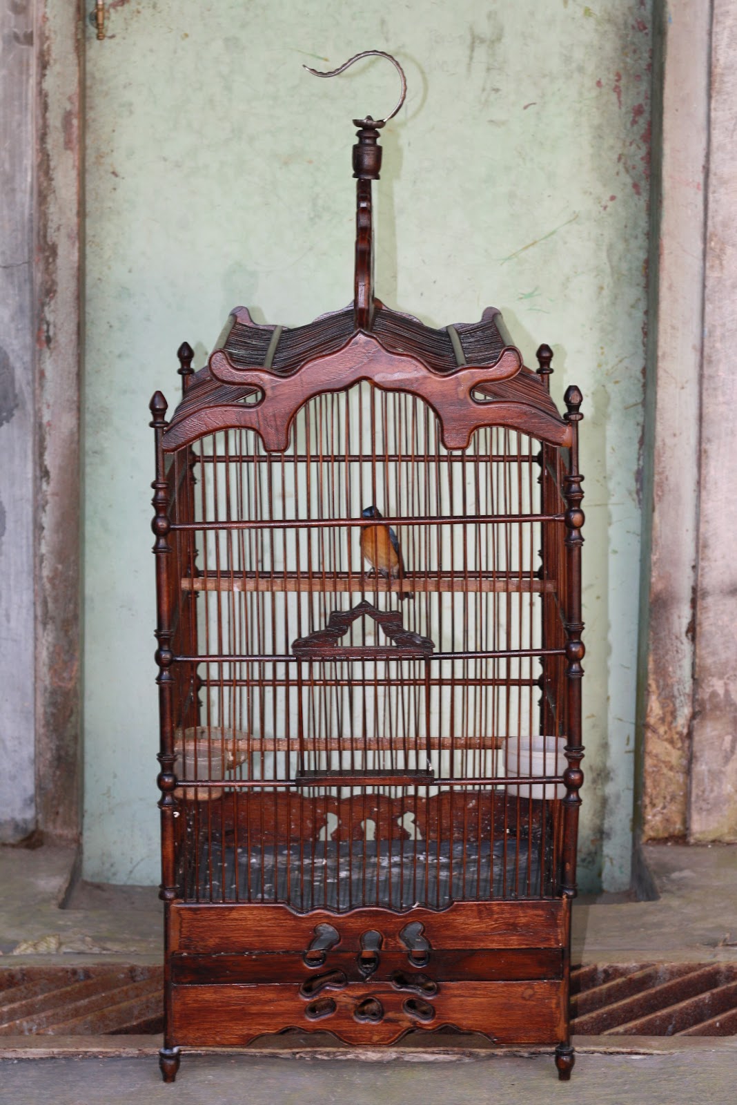 sangkar aneka burung minimalis kayu jati ASLI JEPARA