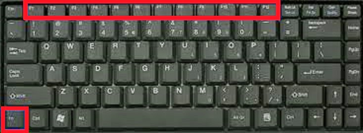 Как на ноутбуке сделать клавиши f1-f12 533